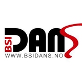 BSI Dans logo