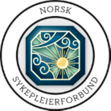 NSF Student Bergen logo