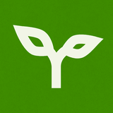 Spire Bergen logo