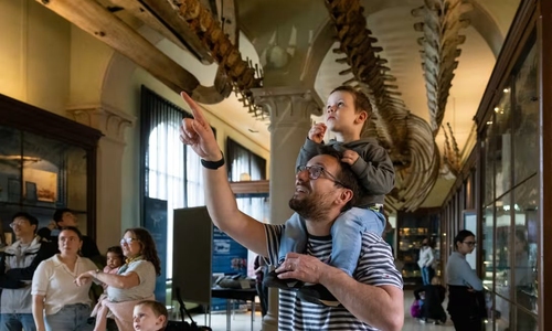 Bli med på kunnskapsfest! 