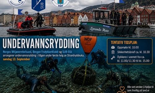 Undervannsrydding med SUBBSI