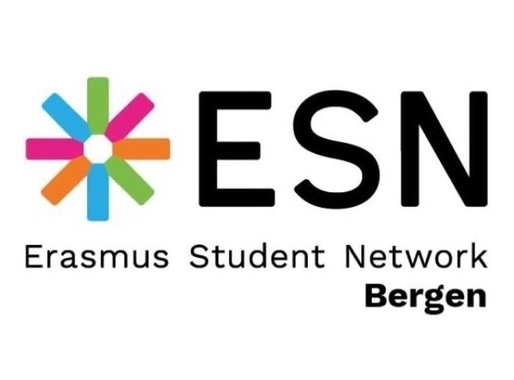 Styre - og frivilligmøte med ESN