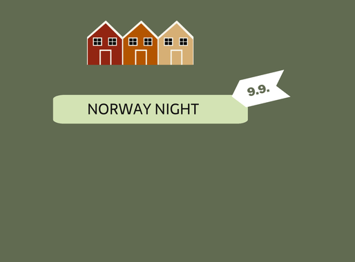 Norway night