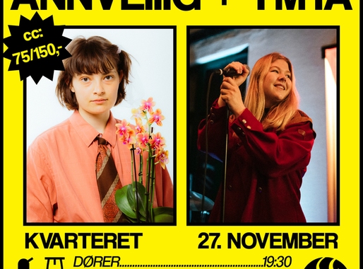 Konsert: Annveiiig + Ymta