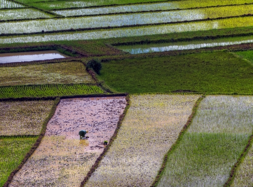 Fremtidens utviklingspolitikk: Hvordan navigere i en verden med kriser og kutt?