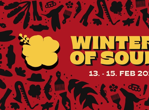 Winter of Soul festival 2026