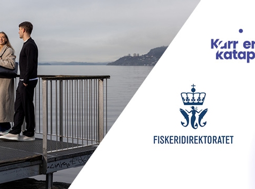 Karrierekatapult: Nysgjerrig på hvordan det er å jobbe i en stor, tverrfaglig offentlig organisasjon?